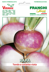 TURNIP (Rapa) - Tonda A Colleto Viola MAGNUM 28 G