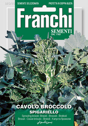 BROCCOLI (Cavolo Broccolo) - Spigariello MAGNUM 12 G NEW