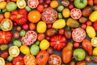 TOMATO (Pomodoro)Heirloom Mix 