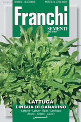 Lettuce -  Lingua Di Canarino SALE