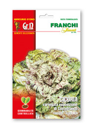 RADICCHIO (Cicoria) variegata di Castelfranco MAGNUM 12G