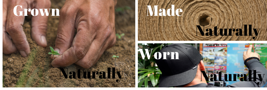 Hemp Planting naturally