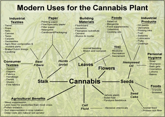 Hemp Uses | Food - Fiber - Fuel - Medicine