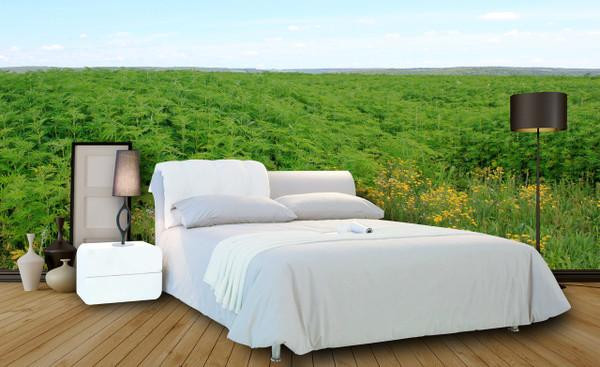 Hemptopia 100% Hemp Bed Sheets - Queen Size