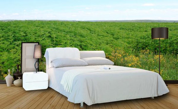 Hemptopia 100% Hemp Bed Sheets - Queen XL Size