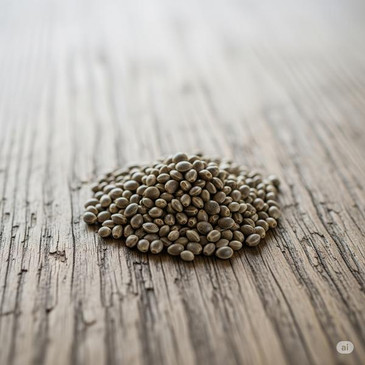 Hemptopia Yuma-S Hemp Fiber Planting Seed 1lb 
