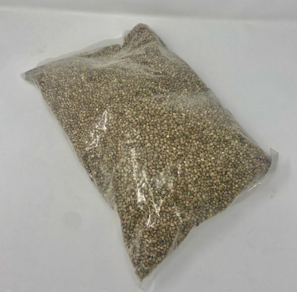 YUMA-8 Hemp Fiber Planting Seed 1lb | Quality Planting Seed