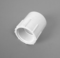 10379 ADAPTER,  FEMALE,  1-1/4S X 1-1/4FIPT,  JANDY VALVE