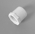 10481 ADAPTER,  FEMALE,  1S x 1FIPT,  WATERFALL