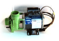 14154 PUMP,  GECKO,  CIRCULATION,  230V GREEN W/E, Side Disch,  1-1/2" UNIONS, NO CORD