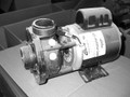 12319 PUMP,  WW,  1/8 HP,  230V,  CIRC,  1 SPEED,  4FT AMP