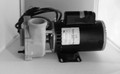 14131 PUMP, GECKO, 5HP-SPL-230V-48FR-2SPD, GREEN W/E, 8FT IN.LINK, UNIONS
