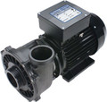 12603 PUMP, WW, EURO, 2.5HP, 220V, 2 IN INTAKE, LUG, 8 FT IN.LINK