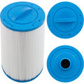 13006 FILTER CARTRIDGE,  40 SQ FT,  6 in OD,  SCREW-in