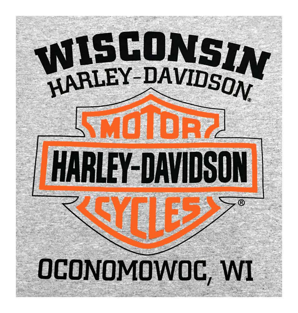 Download Harley-Davidson® Men's Pullover Hooded Sweatshirt, H-D ...