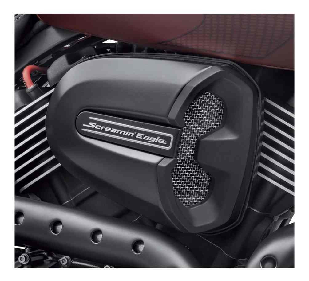 HarleyDavidson® Screamin' Eagle Air Cleaner Insert, Gloss Black Finish