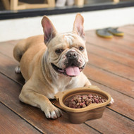 Collapsible Dog Dish (FRD 5254612)