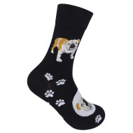 Funatic Unisex Bulldog Socks (4170006)