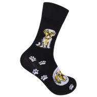 Funatic Unisex Yorkshire Terrier Socks (4170008)
