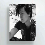 Onyourcases Cole Sprouse Art Custom Poster Silk Poster Wall Decor Home Decoration Wall Art Satin Silky Decorative Wallpaper Personalized Wall Hanging 20x14 Inch 24x35 Inch Poster