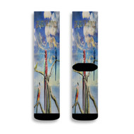 Onyourcases Alex G God Save the Animals Custom Socks Sublimation Awesome Printed Brand New Sports Elite Socks Polyester Bottoms Gymnastic Running Yoga School Basketball Skatebording Spandex