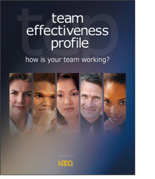 Team Effectiveness Profile Self Assessment 5-Pack