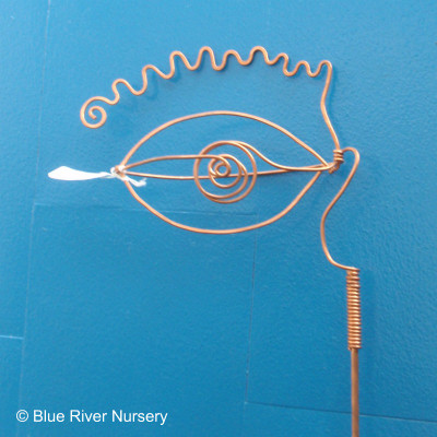Wire Eye
