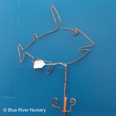 Wire Fish