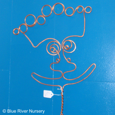 Wire Face