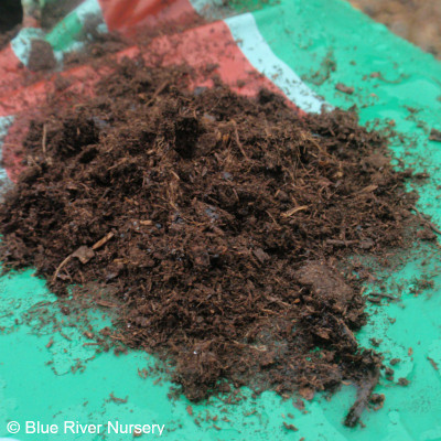 Sphagnum Peat Moss