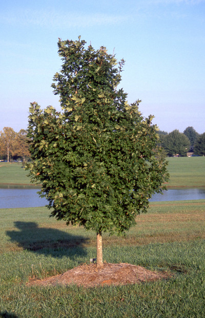 Photo courtesy of J. Frank Schmidt & Sons Co.