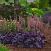 Photograph courtesy of Walters Gardens, Inc.