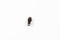 #3CF Locking Slider, Sept Brown (90030CSBAS)