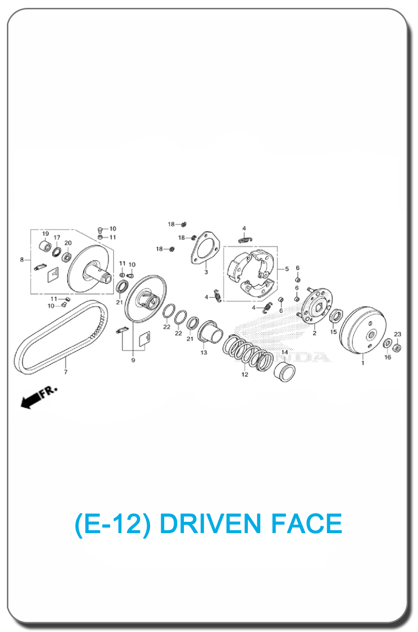 DRIVEN FACE GIORNO+