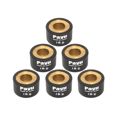 PAYU 16 GR. ROLLER WEIGHT SET (Ø20x12) (6PCS/SET) (22123-ARX-016)