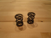 NR Dual Spring Set for Clone, Honda, Predator (Sold as a Pair)