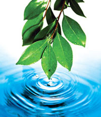 pure water used in production of Vibe nutritional supplement
