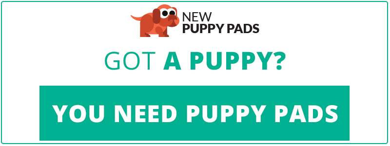 cta-newpuppypads-puppymistakes.png