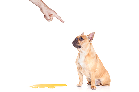 img2.jpg