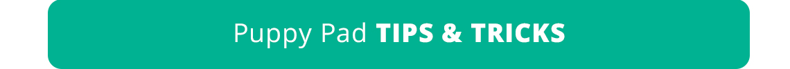 Puppy Pad Tips and Tricks