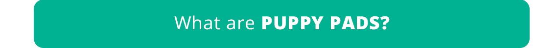 What are Puppy Pads?