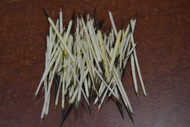 50 Pcs Porcupine Quills