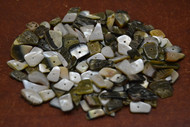 100 Pcs Black Lip Mother of Pearl Shell Blank Charms 1/4" - 1/2"