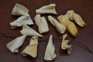 12 Pcs Orange Melon Petal Seashell Charms
