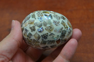Abalone Mother of Pearl Shell Egg 2 1/2"