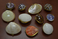 11 Pcs Assort Seashell Storage Trinket Boxes