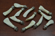 12 Genuine White Buffalo Teeth Tooth Beads Pendants