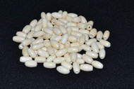 Plain White Buffalo Bone Tube Pipe Beads
