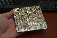 Dog Abalone Shell Blank Inlay White Back 4 1/4"