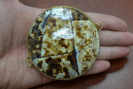 Brown Cowrie Shell Trinket Box